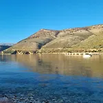 The Sunny Side