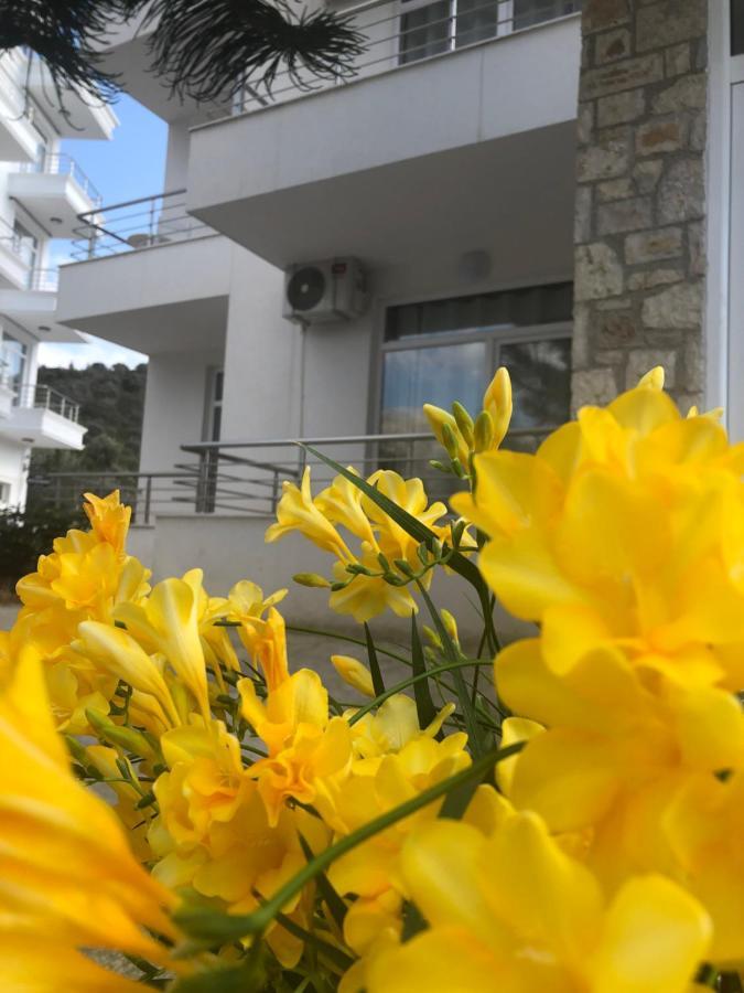 The Sunny Side Apartament